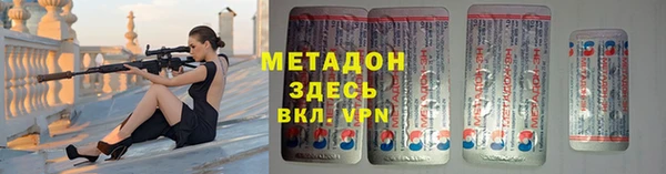 прущие грибы Балабаново