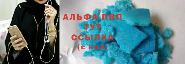 прущие грибы Балабаново
