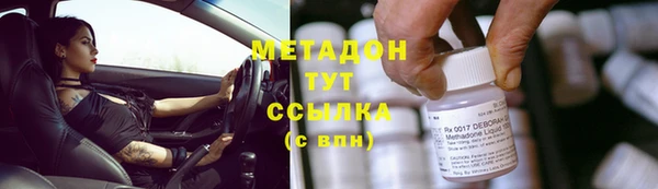 прущие грибы Балабаново