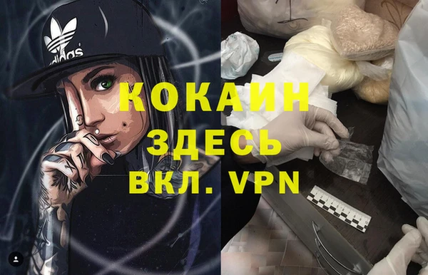 прущие грибы Балабаново