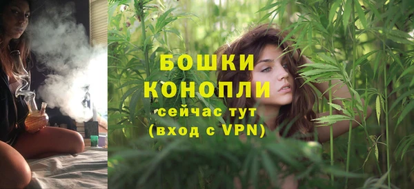 прущие грибы Балабаново