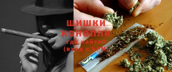 прущие грибы Балабаново