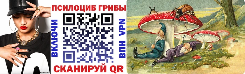 купить наркоту  Фролово  Галлюциногенные грибы Magic Shrooms 